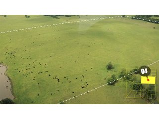 Property photo 13 - 640 Acres in 14 Tracts - Mostly Pasture/Ranch Land