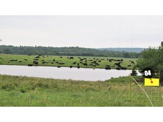 Property photo 14 - 640 Acres in 14 Tracts - Mostly Pasture/Ranch Land