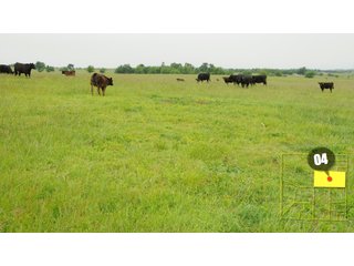 Property photo 15 - 640 Acres in 14 Tracts - Mostly Pasture/Ranch Land