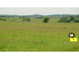 Property photo 16 - 640 Acres in 14 Tracts - Mostly Pasture/Ranch Land