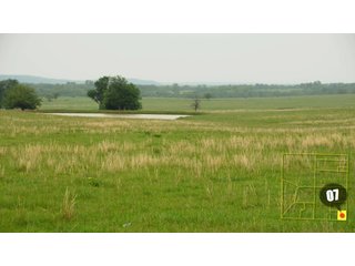 Property photo 22 - 640 Acres in 14 Tracts - Mostly Pasture/Ranch Land