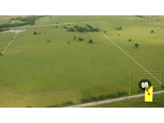 Property photo 27 - 640 Acres in 14 Tracts - Mostly Pasture/Ranch Land