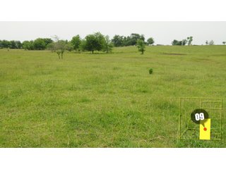 Property photo 28 - 640 Acres in 14 Tracts - Mostly Pasture/Ranch Land