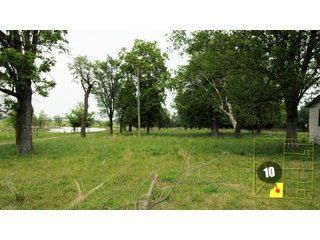 Property photo 31 - 640 Acres in 14 Tracts - Mostly Pasture/Ranch Land
