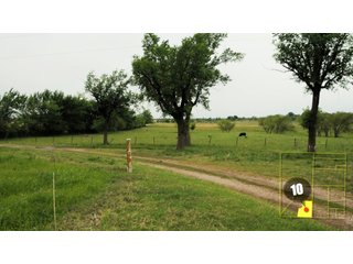 Property photo 32 - 640 Acres in 14 Tracts - Mostly Pasture/Ranch Land