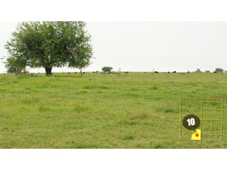Property photo 33 - 640 Acres in 14 Tracts - Mostly Pasture/Ranch Land