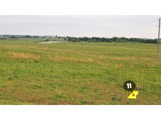 Property photo 38 - 640 Acres in 14 Tracts - Mostly Pasture/Ranch Land