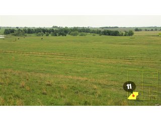 Property photo 39 - 640 Acres in 14 Tracts - Mostly Pasture/Ranch Land