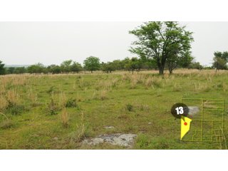 Property photo 50 - 640 Acres in 14 Tracts - Mostly Pasture/Ranch Land