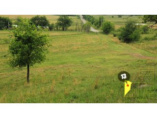 Property photo 51 - 640 Acres in 14 Tracts - Mostly Pasture/Ranch Land