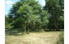 Property photo 10 - LAND AUCTION, 74+/- Acres in 4 Tracts