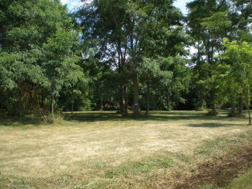 Property photo 8 - LAND AUCTION, 74+/- Acres in 4 Tracts