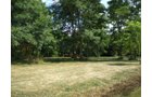 Property photo 8 - LAND AUCTION, 74+/- Acres in 4 Tracts