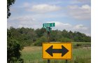 Property photo 1 - LAND AUCTION, 74+/- Acres in 4 Tracts