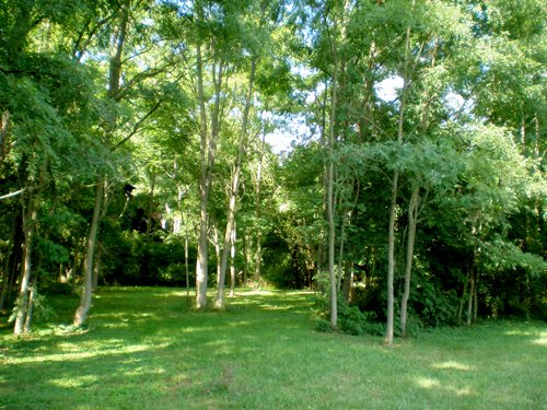 Property photo 7 - LAND AUCTION, 74+/- Acres in 4 Tracts