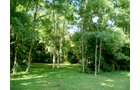 Property photo 7 - LAND AUCTION, 74+/- Acres in 4 Tracts