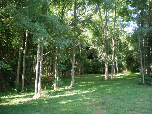 Property photo 12 - LAND AUCTION, 74+/- Acres in 4 Tracts