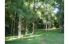 Property photo 12 - LAND AUCTION, 74+/- Acres in 4 Tracts