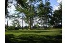 Property photo 3 - LAND AUCTION, 74+/- Acres in 4 Tracts