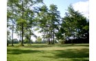 Property photo 2 - LAND AUCTION, 74+/- Acres in 4 Tracts