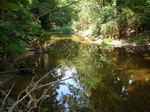 Property photo 15 - LAND AUCTION, 74+/- Acres in 4 Tracts