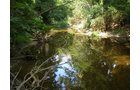 Property photo 15 - LAND AUCTION, 74+/- Acres in 4 Tracts