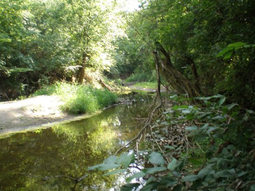 Property photo 13 - LAND AUCTION, 74+/- Acres in 4 Tracts