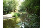 Property photo 13 - LAND AUCTION, 74+/- Acres in 4 Tracts