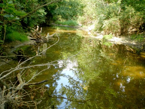 Property photo 5 - LAND AUCTION, 74+/- Acres in 4 Tracts