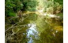 Property photo 5 - LAND AUCTION, 74+/- Acres in 4 Tracts