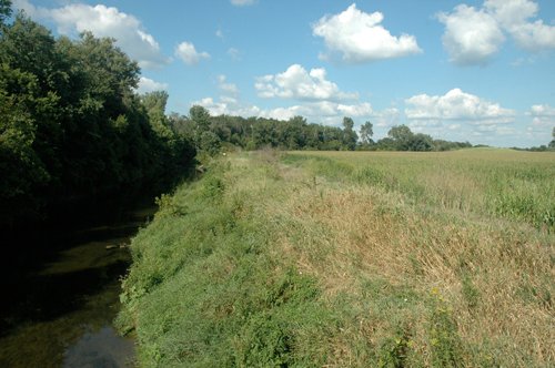 Property photo 4 - 88+/- Acres Offered in 3 Tracts