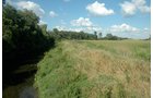Property photo 4 - 88+/- Acres Offered in 3 Tracts