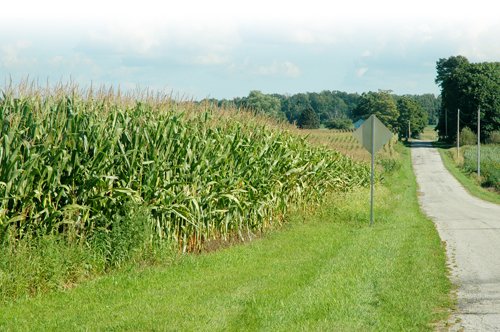 Property photo 2 - 88+/- Acres Offered in 3 Tracts