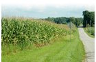 Property photo 2 - 88+/- Acres Offered in 3 Tracts