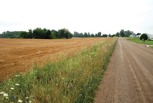 Property photo 10 - 97+/- Acres in 5 Tracts