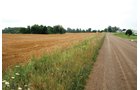 Property photo 10 - 97+/- Acres in 5 Tracts