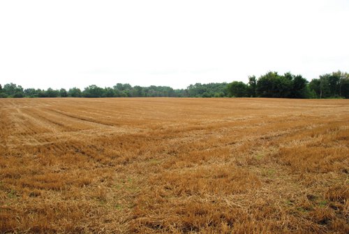 Property photo 24 - 97+/- Acres in 5 Tracts
