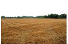 Property photo 24 - 97+/- Acres in 5 Tracts