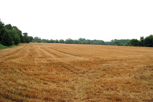 Property photo 6 - 97+/- Acres in 5 Tracts