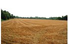 Property photo 6 - 97+/- Acres in 5 Tracts