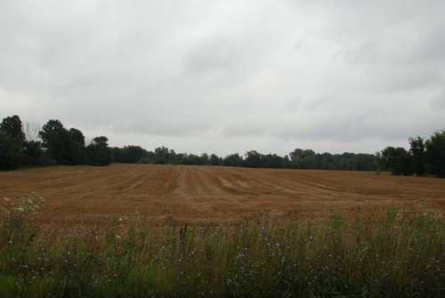 Property photo 14 - 97+/- Acres in 5 Tracts