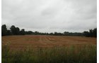 Property photo 14 - 97+/- Acres in 5 Tracts