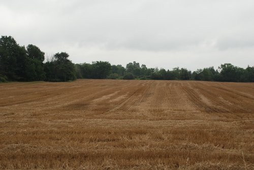 Property photo 9 - 97+/- Acres in 5 Tracts