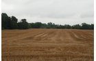 Property photo 9 - 97+/- Acres in 5 Tracts