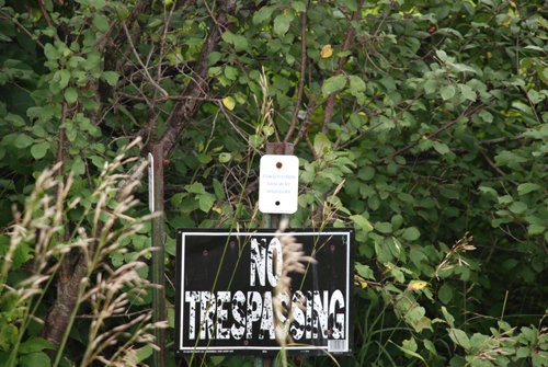 Property photo 8 - 97+/- Acres in 5 Tracts