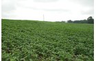 Property photo 20 - 97+/- Acres in 5 Tracts