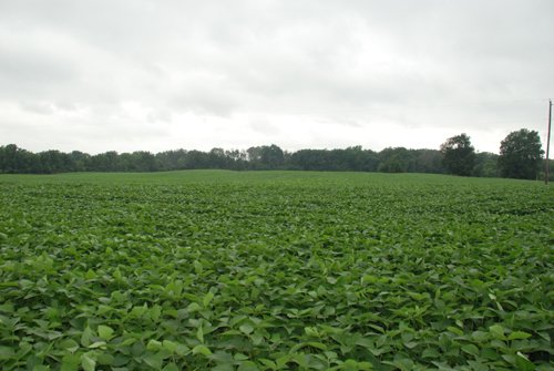 Property photo 26 - 97+/- Acres in 5 Tracts