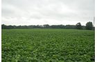 Property photo 26 - 97+/- Acres in 5 Tracts