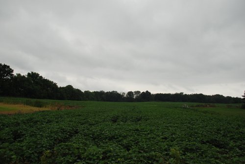 Property photo 12 - 97+/- Acres in 5 Tracts