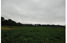 Property photo 12 - 97+/- Acres in 5 Tracts
